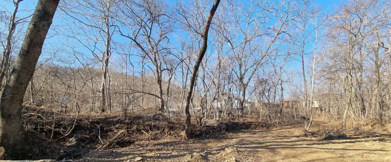 земля г Владивосток р-н Советский ул Аквамариновая фото 2