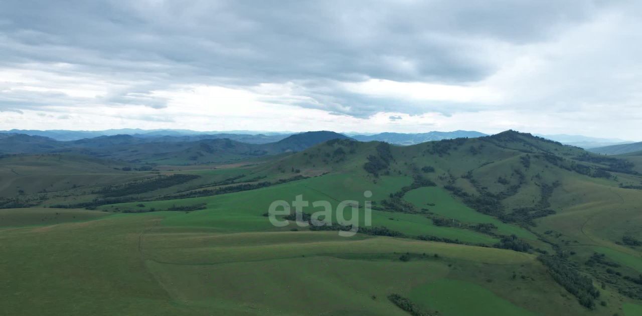 земля р-н Алтайский с Ая Айский сельсовет фото 13