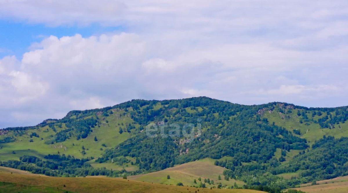 земля р-н Алтайский с Ая Айский сельсовет фото 27