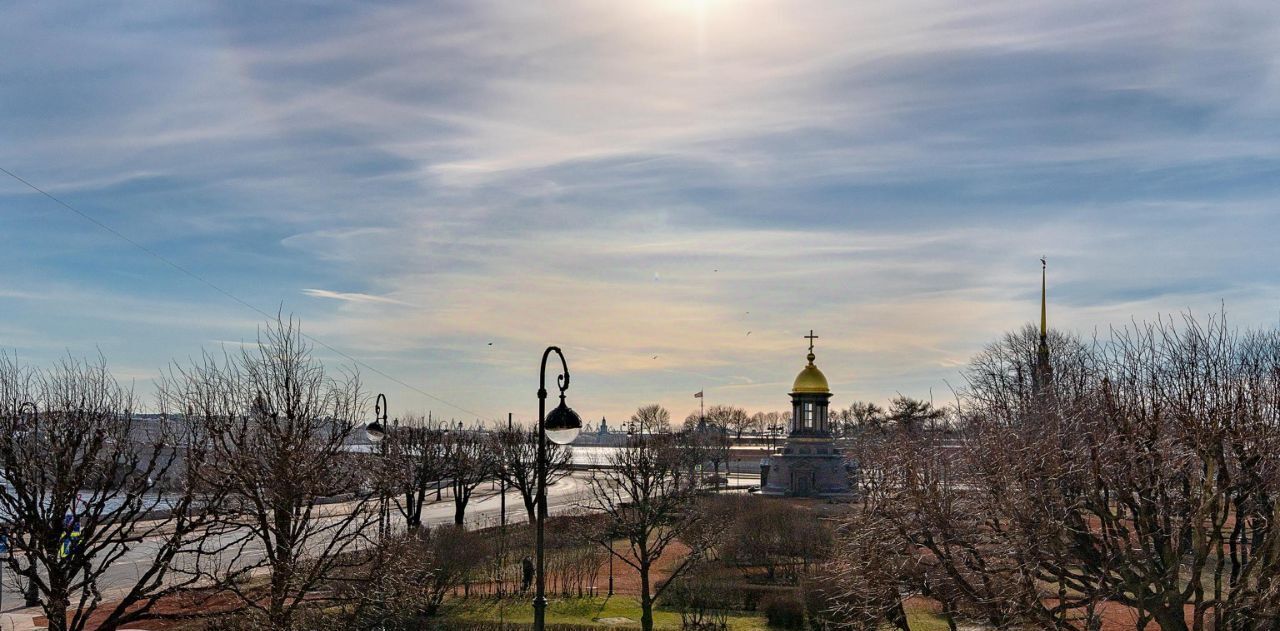 квартира г Санкт-Петербург метро Горьковская пл. Троицкая Петроградской стороны, 1 фото 4