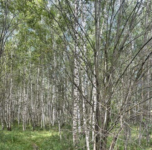 офис г Ногинск с. Старое Торбеево фото