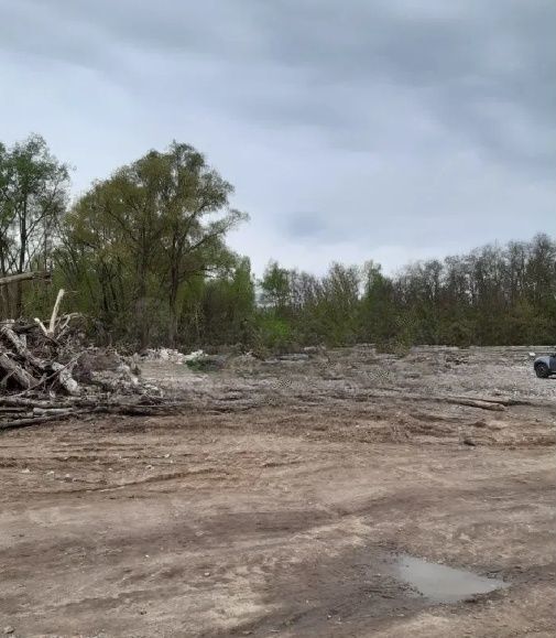 земля городской округ Кашира 92 км, пос. Большое Руново, Южная ул, Каширское шоссе фото 2