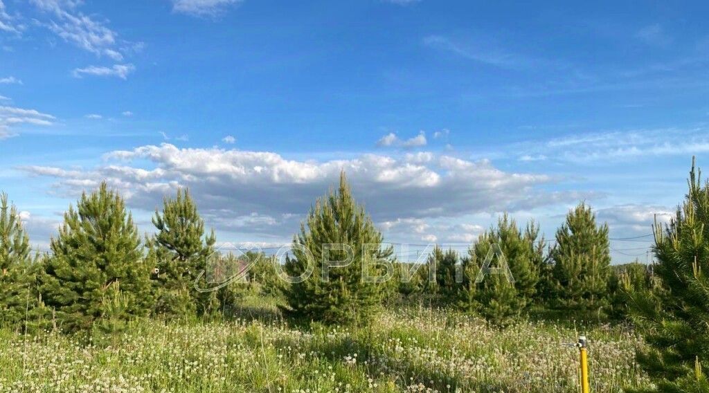 земля р-н Тюменский с Каменка Подушкино ДНТ, проезд Изюмный фото 1