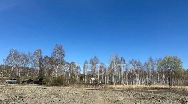 р-н Центральный СОСН Приозерное тер. фото