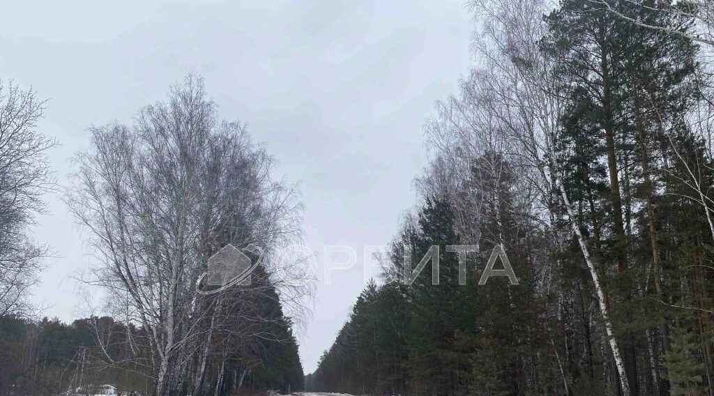 земля р-н Тюменский д Ушакова ул Зеленая Переваловское сельское поселение фото 3