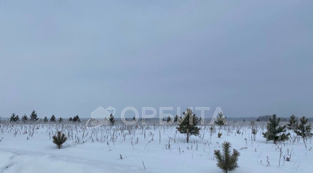 земля р-н Тюменский д Елань 14 фото 3