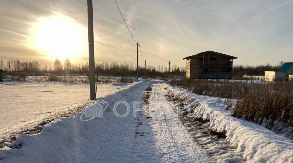 земля г Тюмень р-н Центральный снт Царево ул Тальниковая Центральный административный округ фото 4