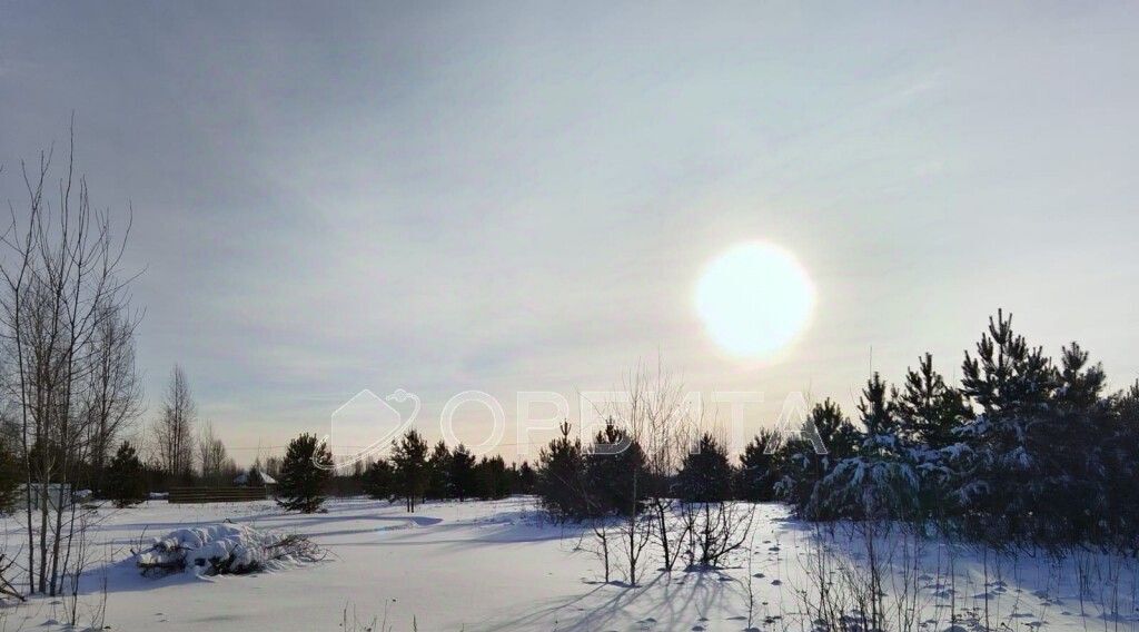 земля р-н Тюменский с Каменка Подушкино ДНТ, проезд Изюмный фото 7