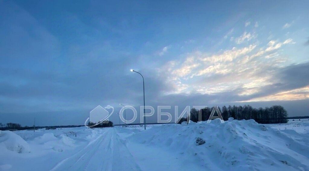 земля р-н Тюменский Новокаменский кп, ул. Васнецова фото 9