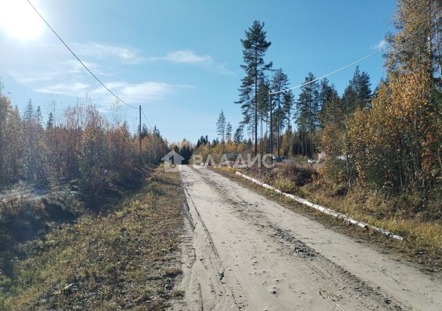 земля снт Ветеран-3 ул Рябиновая Нововилговское сельское поселение, Петрозаводск фото