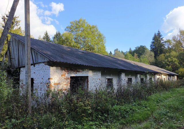 офис с Приокское лесничество ул Лесная 1 фото