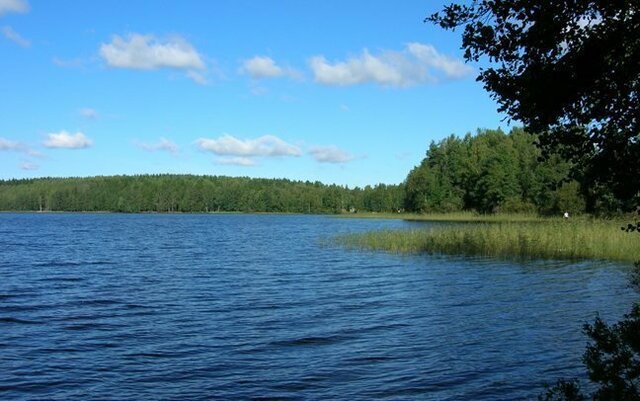 снт Смольнинское Гончаровское сельское поселение, 1-й Торфяной проезд фото