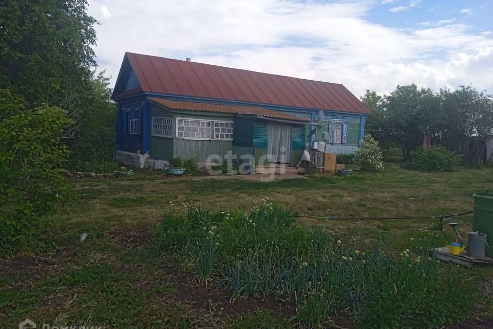 дом р-н Альшеевский с Нижнее Аврюзово ул Садовая фото 1