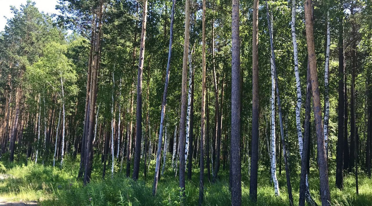 земля р-н Иркутский Петровская Слобода ДНТ фото 10