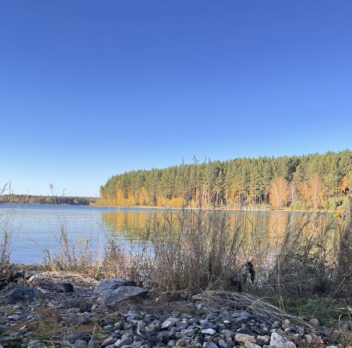 земля р-н Иркутский Петровская Слобода ДНТ фото 19