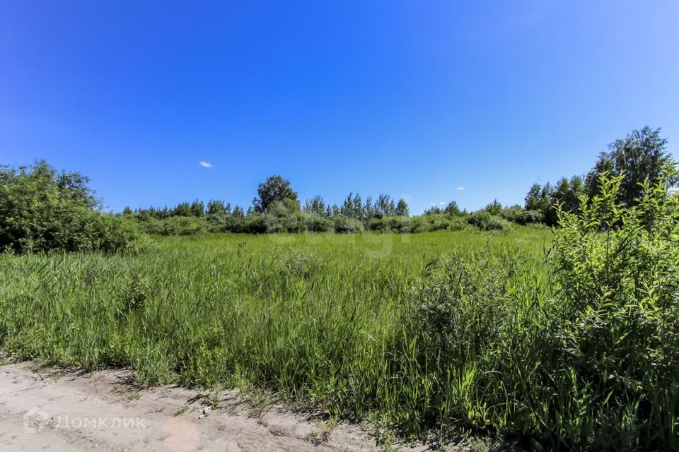 земля г Тюмень снт Поле чудес-2 ул Садовая Тюмень городской округ фото 5