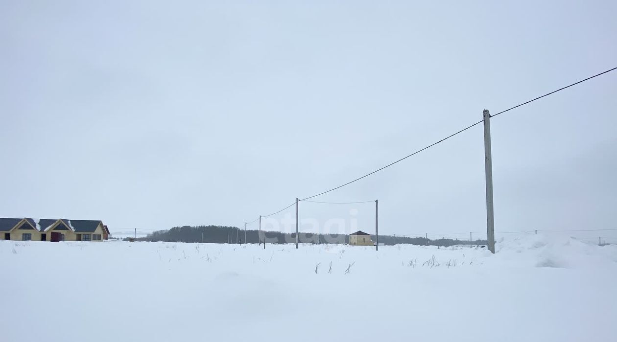 земля р-н Лаишевский с Державино Державинское сельское поселение фото 8