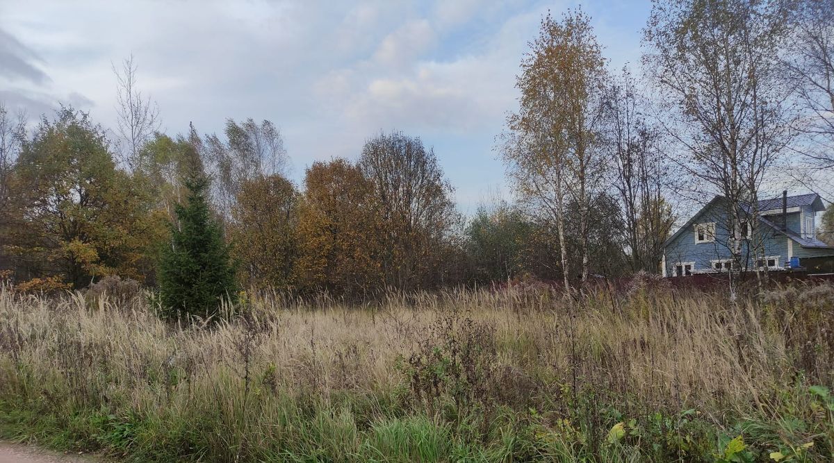 земля городской округ Рузский Дорохово СНТ фото 1