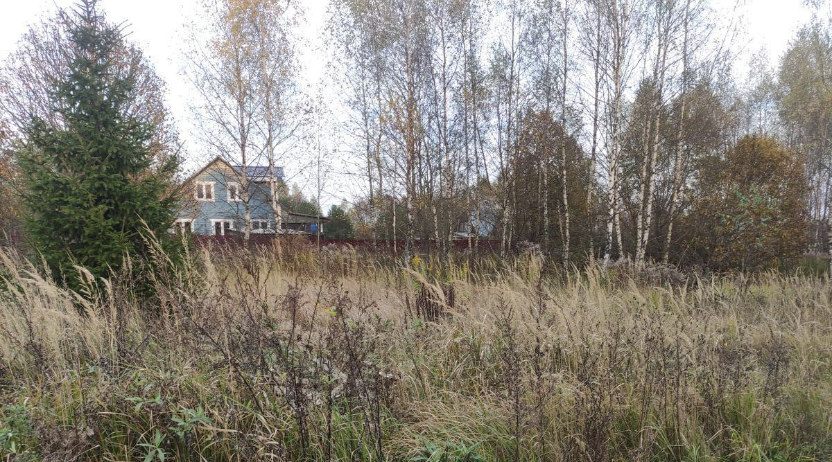 земля городской округ Рузский Дорохово СНТ фото 4