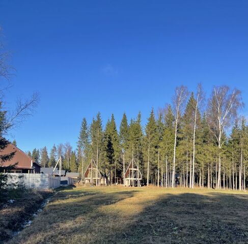 д Пузиково снт терПолянка Подольск фото