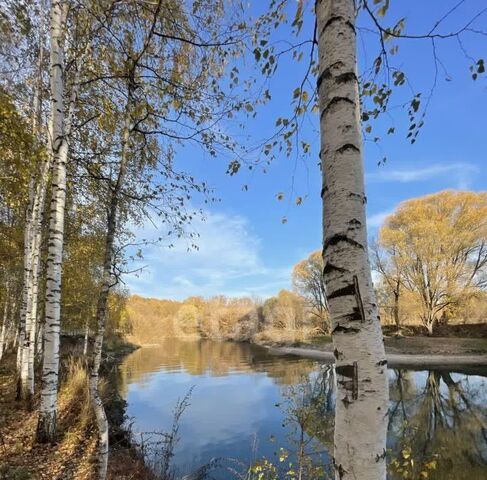 снт Щербаковка с пос, аллея 6-я, 57, Дачное фото