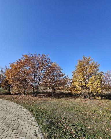 земля ст-ца Старомышастовская Старомышастовское сельское поселение фото