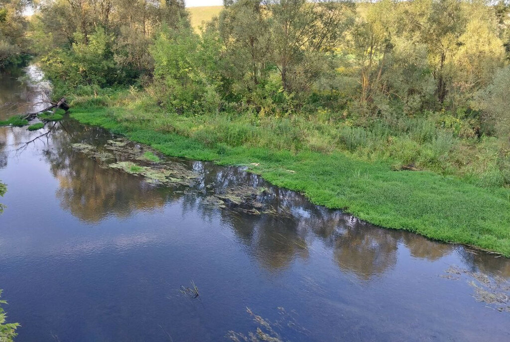 земля р-н Орловский д Медведево ул Алексеевская фото 2