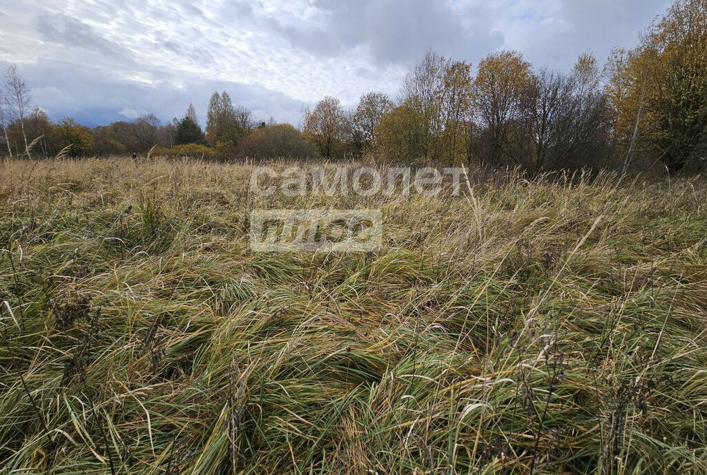 земля городской округ Дмитровский с Якоть фото 1