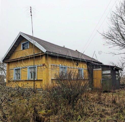 д Большая Пустомержа 22 фото