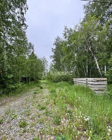 земля д Осиновка ул Полевая Челябинск фото