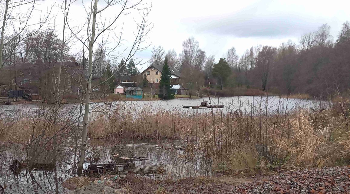 земля г Выборг р-н Петровский ул Добровольцев 24 Выборгское городское поселение фото 1