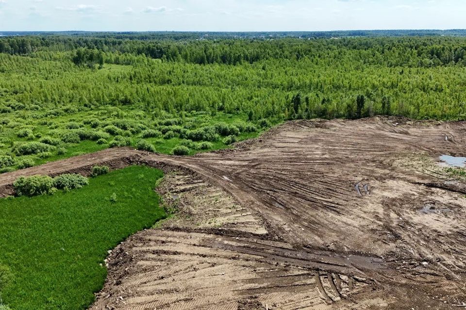 земля городской округ Мытищи д Протасово 17 фото 2