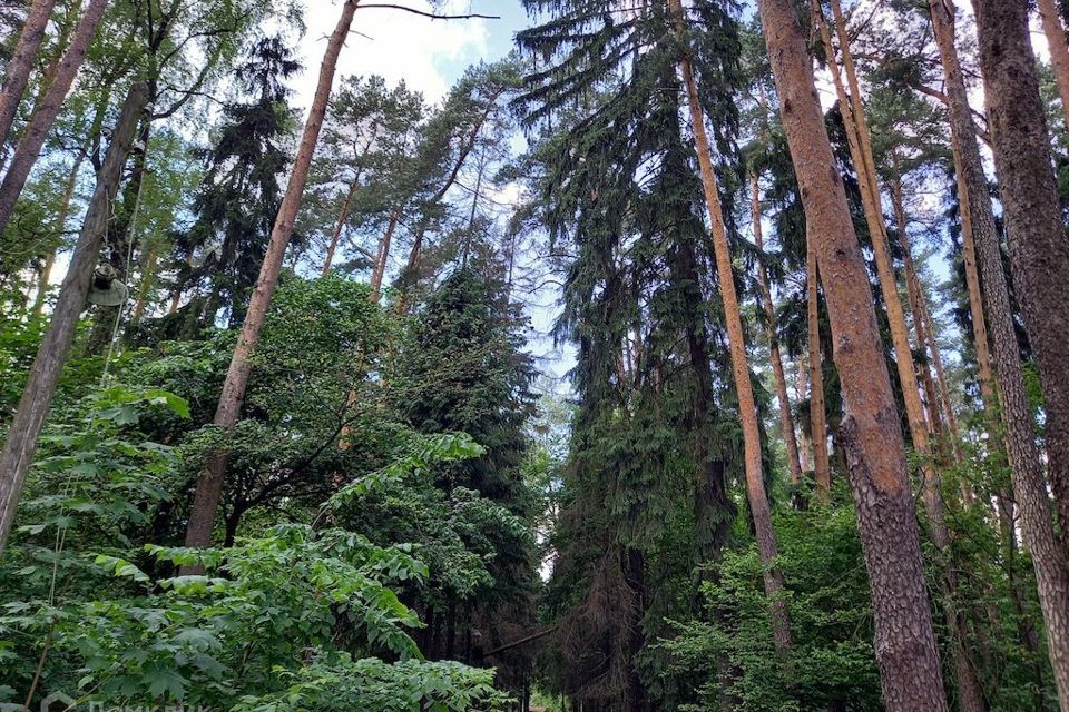 земля городской округ Одинцовский д. Молоденово фото 4