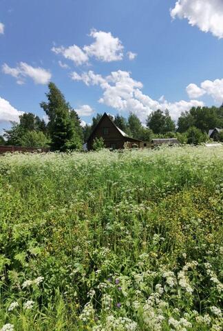 снт тер.Московский литератор СНТ, ул. Цветочная, Истра городской округ фото