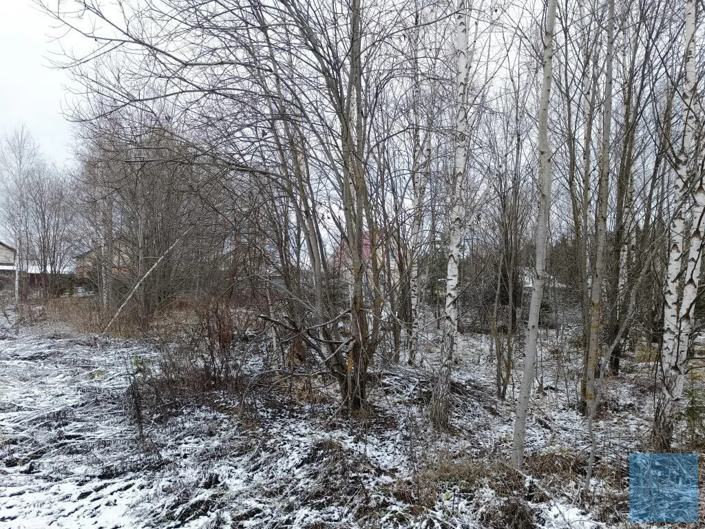 земля городской округ Солнечногорск д Повадино Пятницкое фото 7