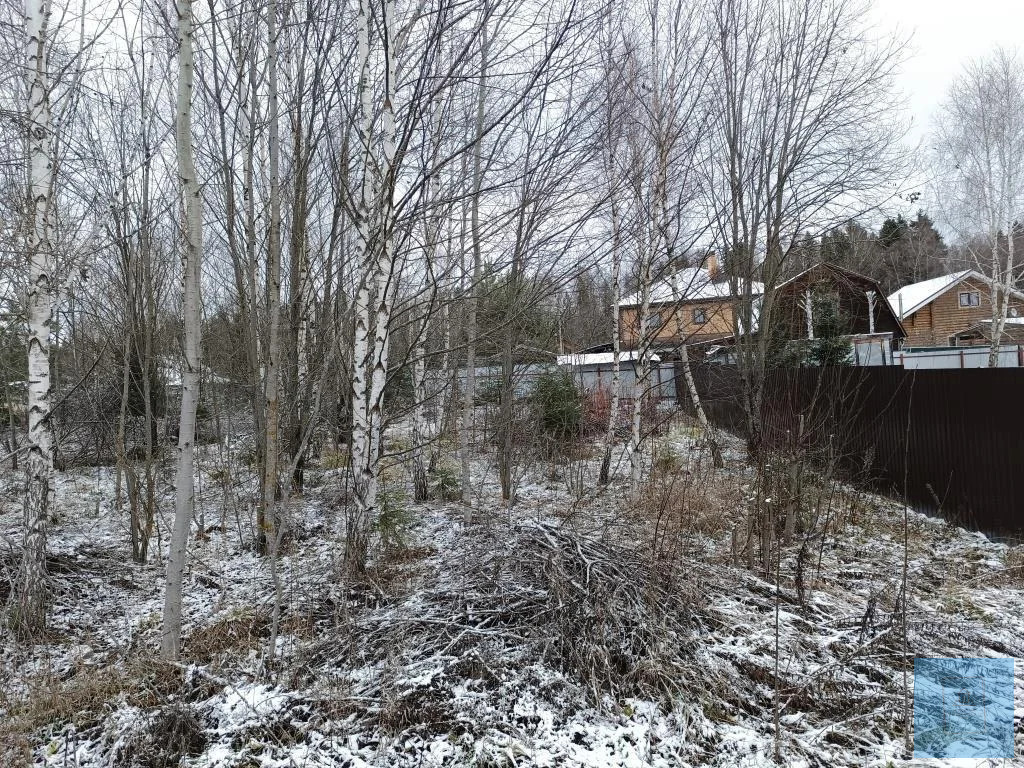 земля городской округ Солнечногорск д Повадино Пятницкое фото 8