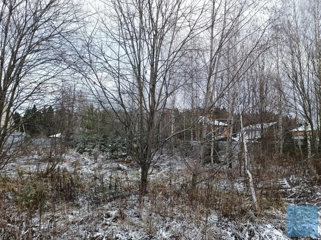 земля городской округ Солнечногорск д Повадино Пятницкое фото 10