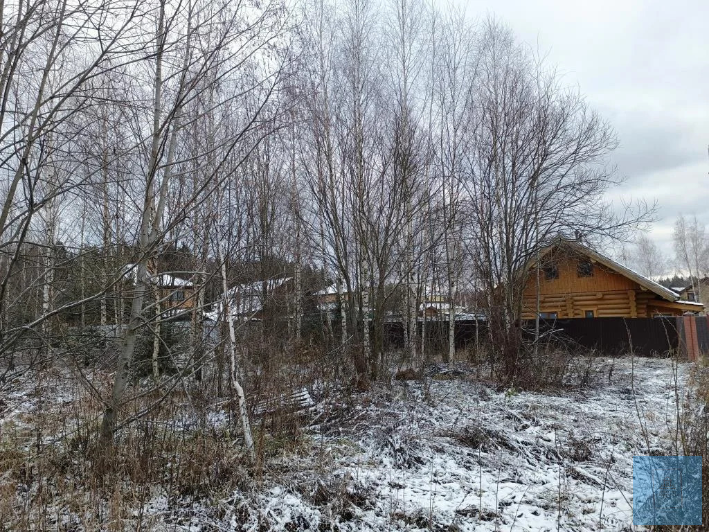 земля городской округ Солнечногорск д Повадино Пятницкое фото 11