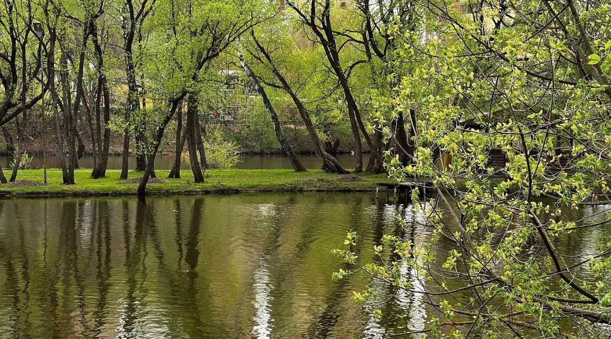 квартира г Москва Троицк ул Приречная 17 фото 10