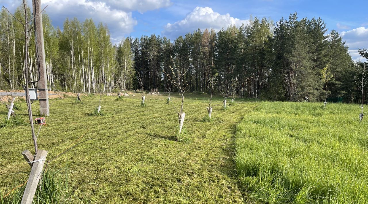 земля р-н Лужский д Баньково Толмачевское городское поселение фото 2