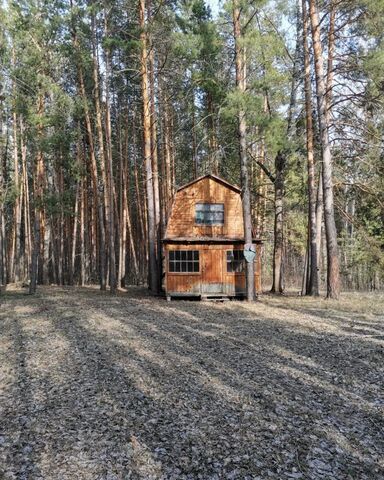 р-н Ртищевский с Нижнее Голицыно Пензенская область, Беково фото