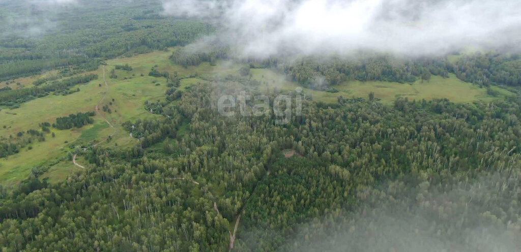 земля р-н Мошковский с Сокур Гагаринская фото 2