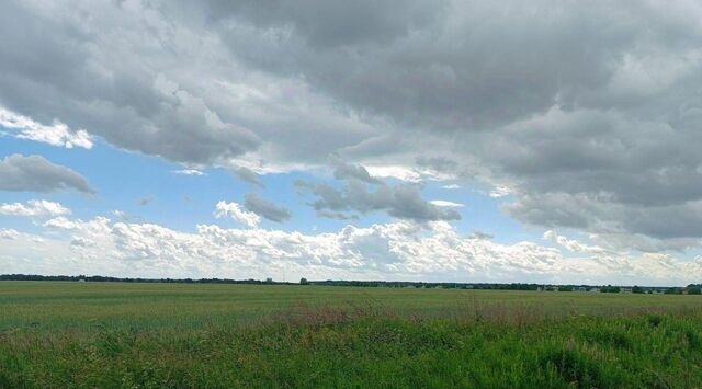 Колтушское городское поселение, Ломоносовская фото