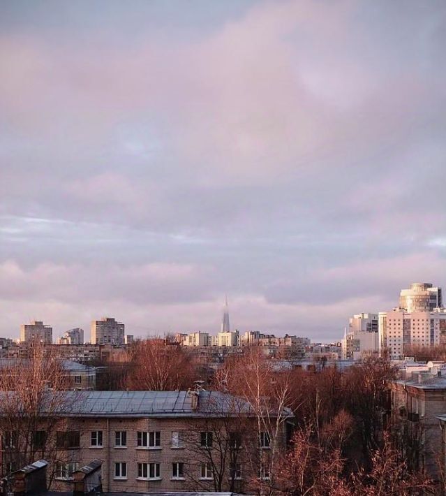 квартира г Санкт-Петербург метро Приморская просп. Малый Васильевского острова, 63/14 фото 10