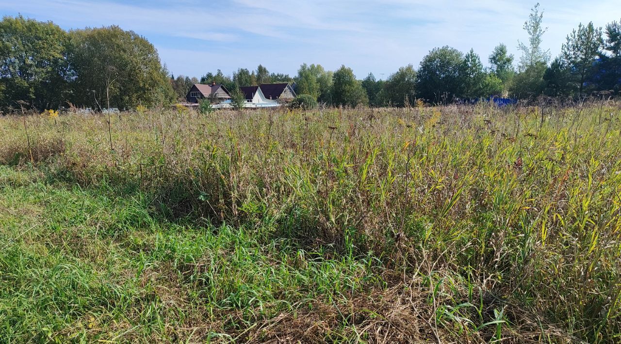 офис городской округ Раменский д Макаровка фото 3