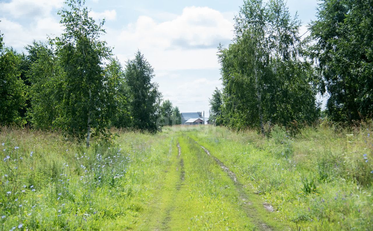 земля р-н Искитимский с Морозово Бердск фото 6