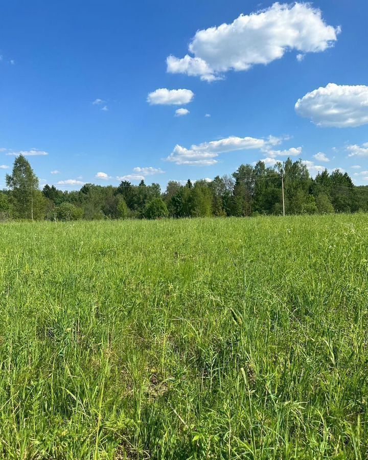 земля городской округ Клин д Заовражье 68 км, Клин, Рогачёвское шоссе фото 4