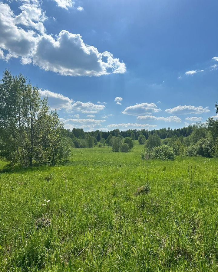 земля городской округ Клин д Заовражье 68 км, Клин, Рогачёвское шоссе фото 8