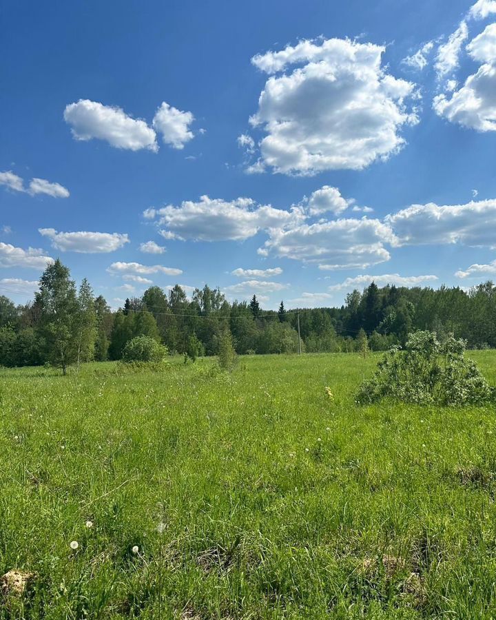 земля городской округ Клин д Заовражье 68 км, Клин, Рогачёвское шоссе фото 10