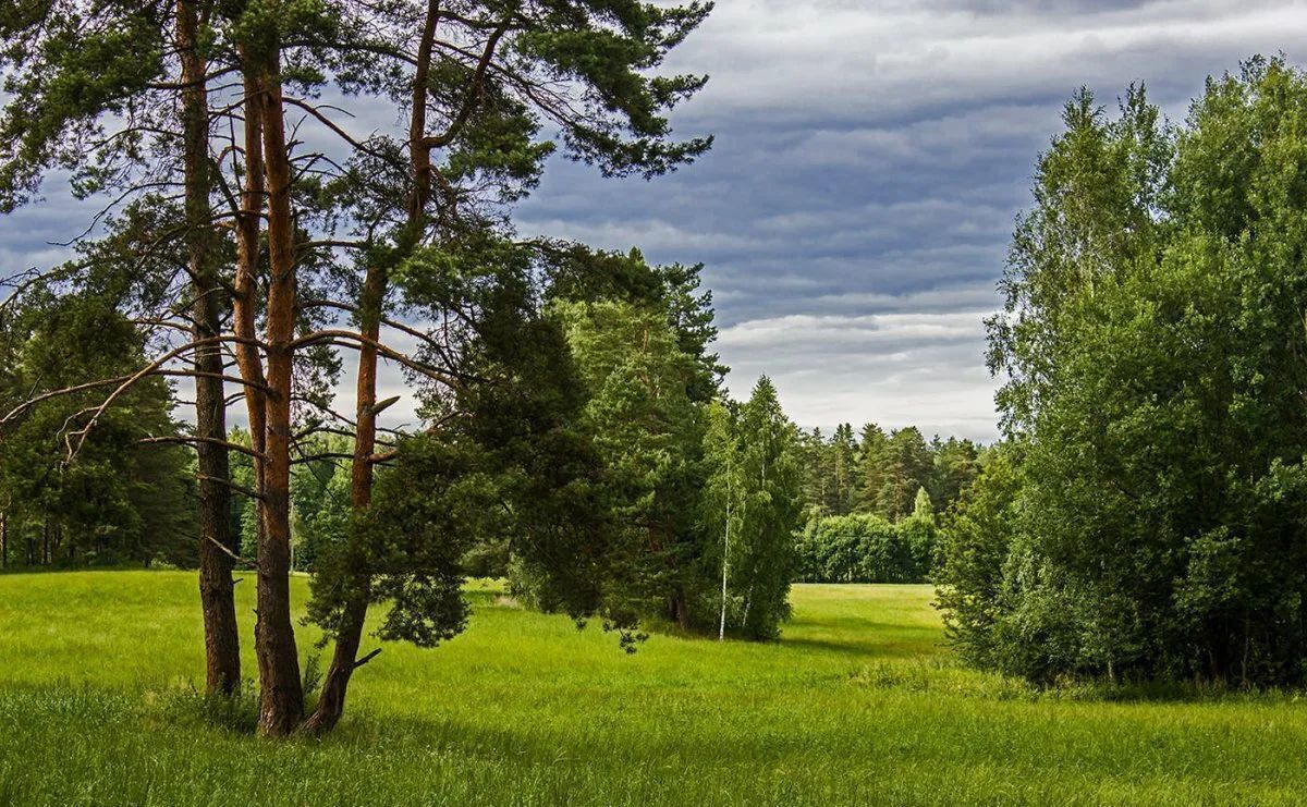 земля городской округ Клин д Заовражье 68 км, Клин, Рогачёвское шоссе фото 14